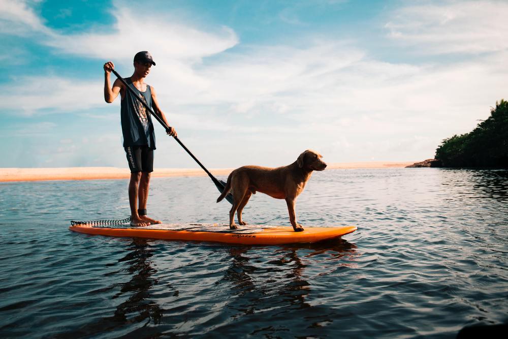 Stand up Paddeln mit dem Hund 🐕