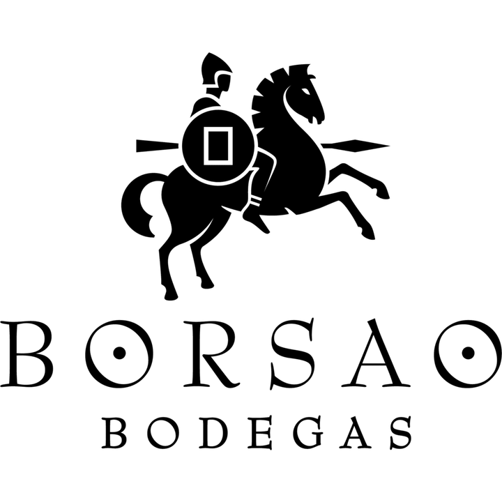 Bodegas Borsao Campo de Borja D.O. Tinto Selección 2019 0.75l im Outlet Sale