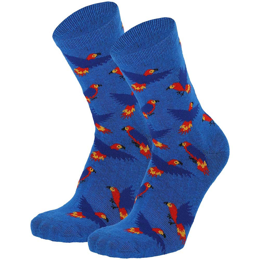 Apollo Socken-Adventskalender «Zoo» – Socken Paar 5 von 12