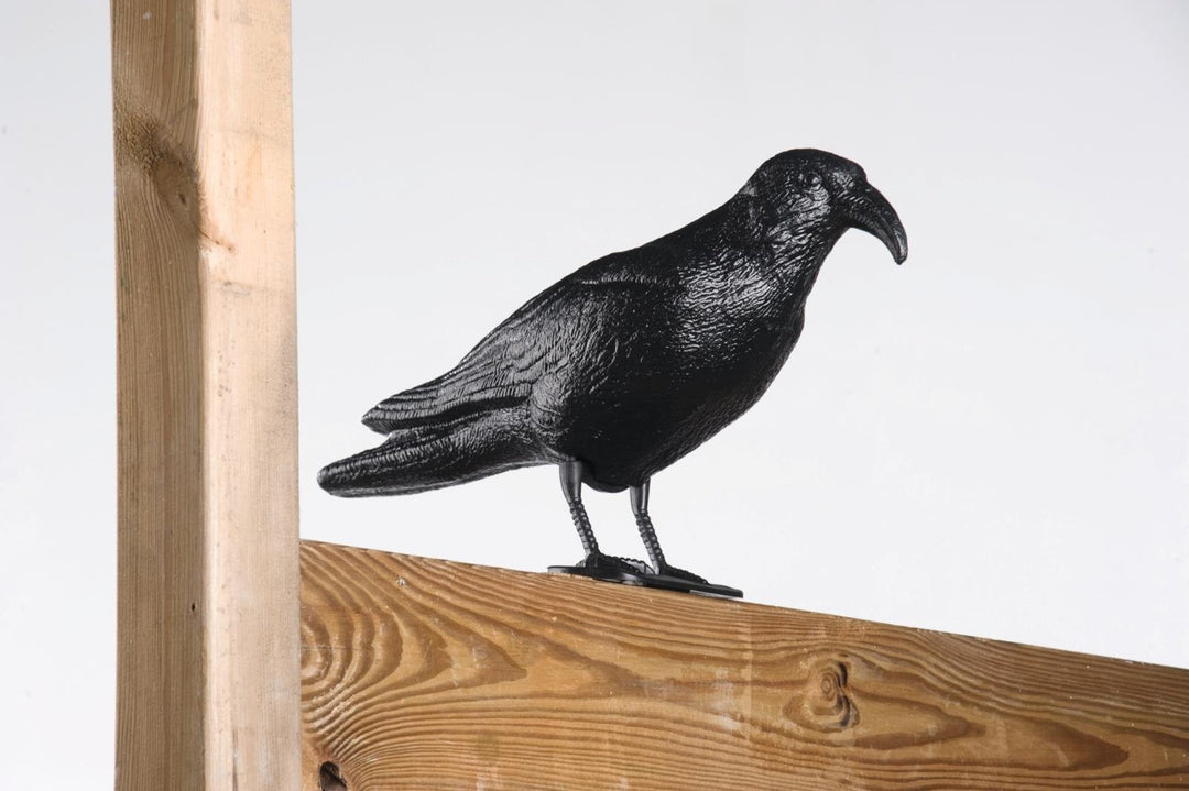 Lifetime Vogelschreck Krähe 35x14x23.5cm – -