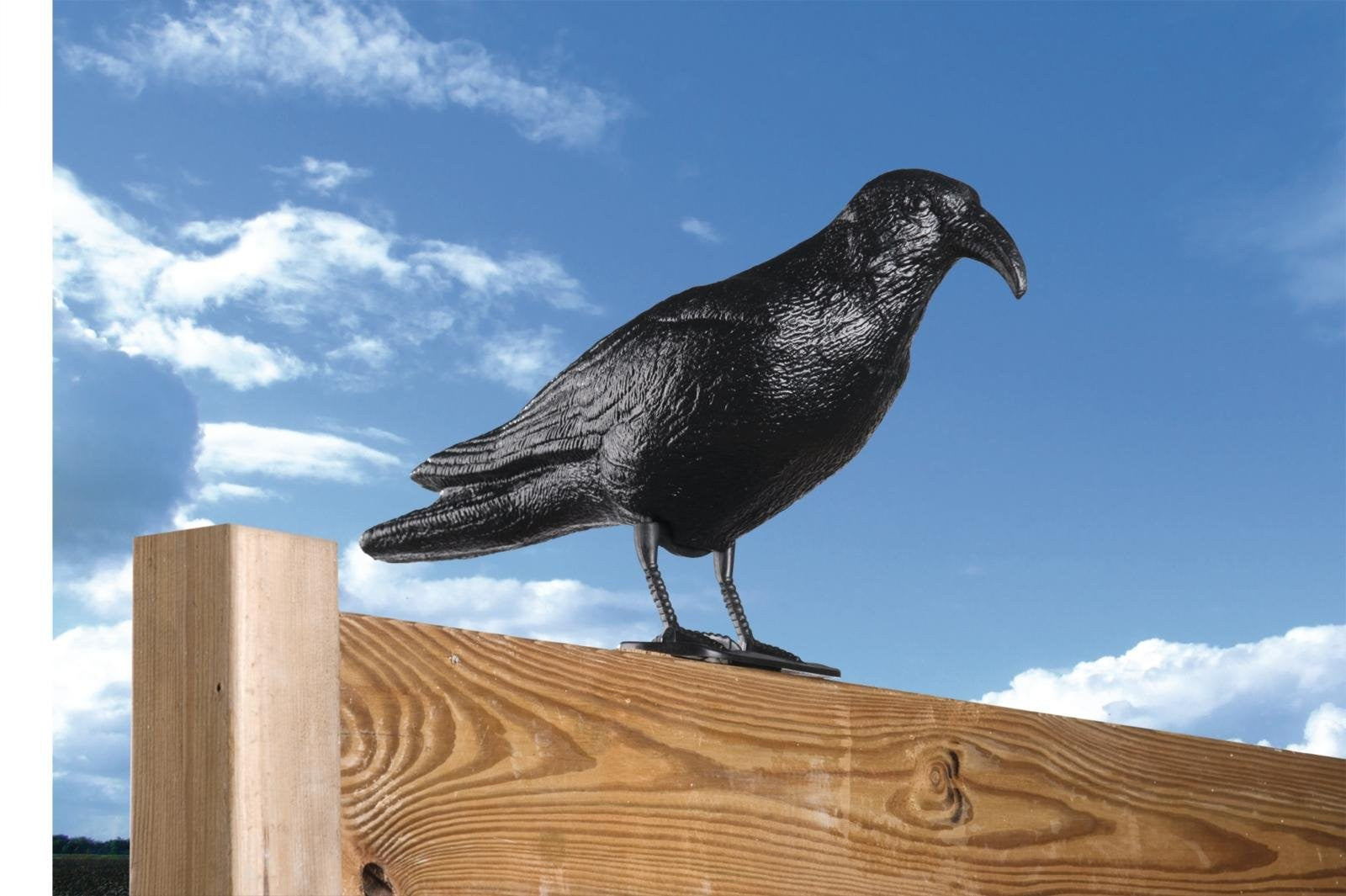 Lifetime Vogelschreck Krähe 35x14x23.5cm – -