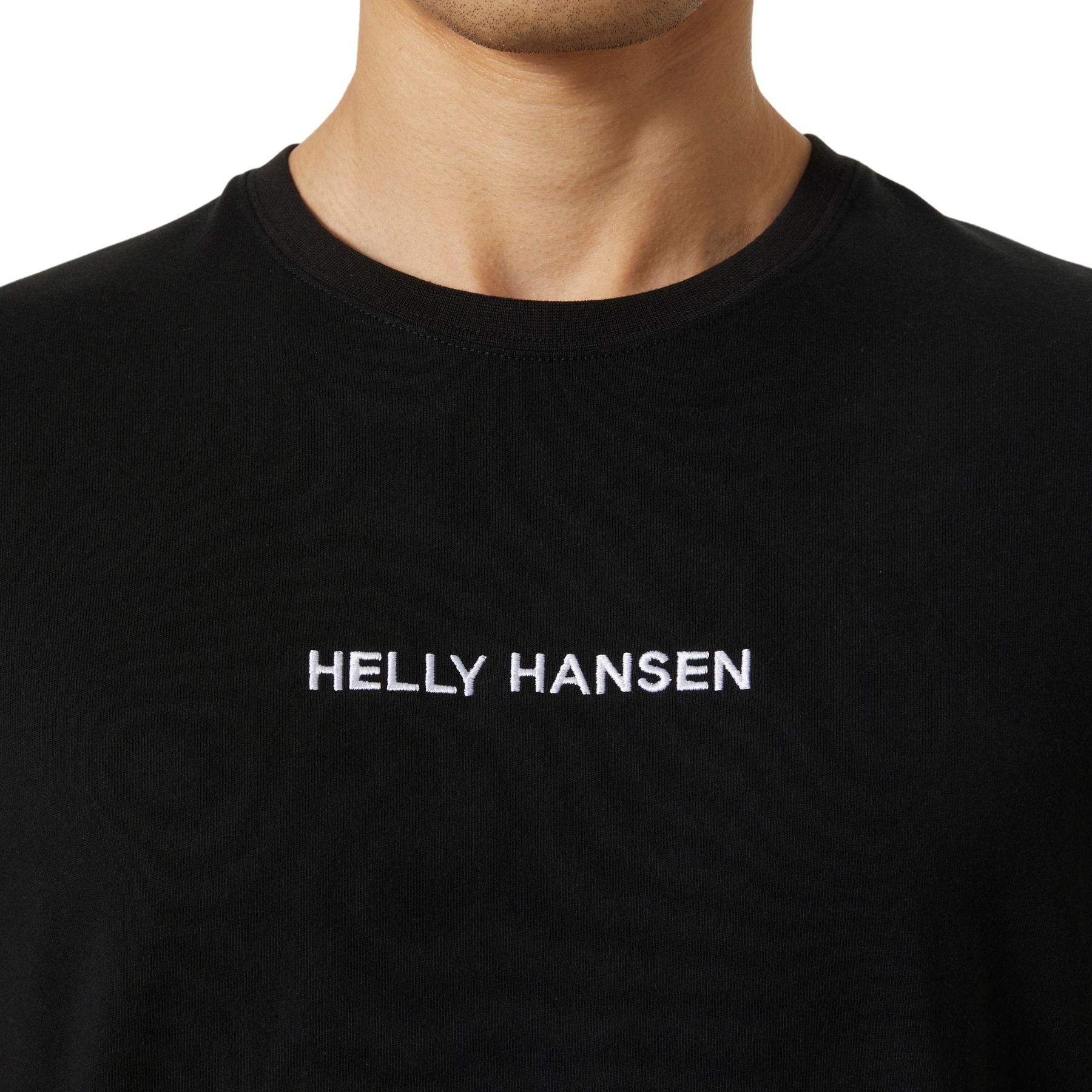 Helly Hansen Core Graphic T-Shirt Herren