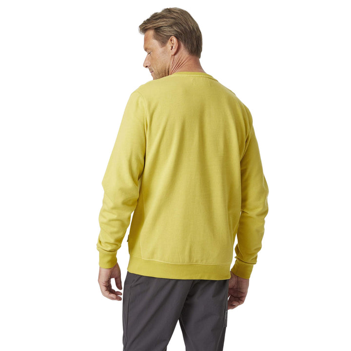 Helly Hansen Mid-Layer F2F Organic Cotton Sweater Herren