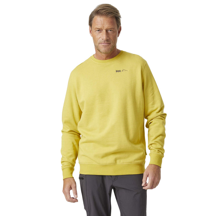 Helly Hansen Mid-Layer F2F Organic Cotton Sweater Herren