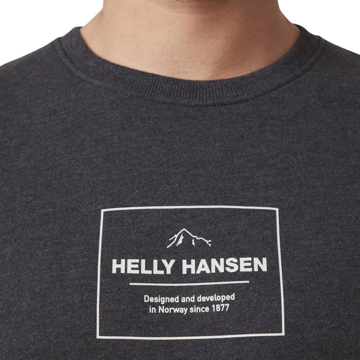 Helly Hansen Mid-Layer F2F Organic Cotton Sweater Herren