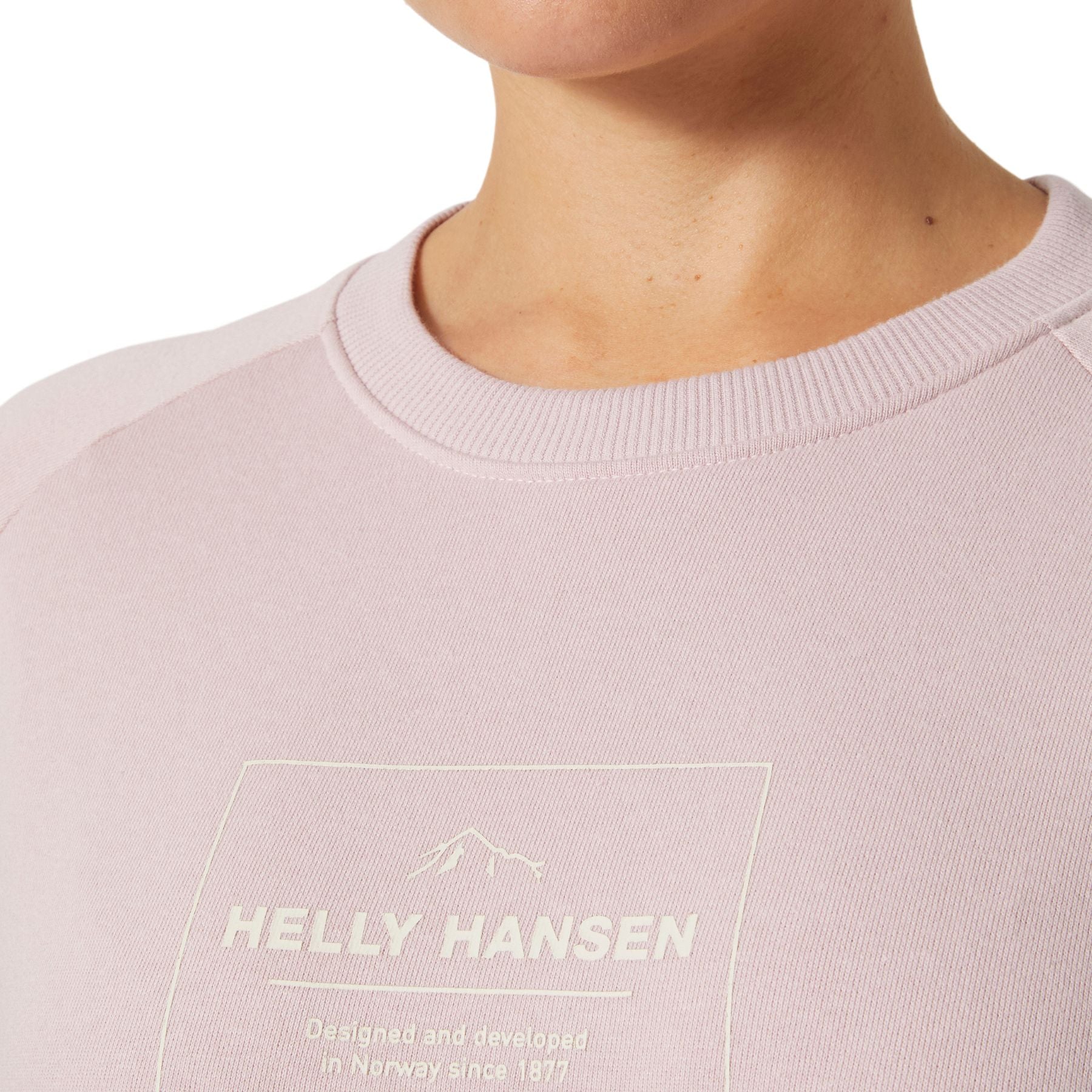 Helly Hansen F2F Sweatshirt 2 Damen