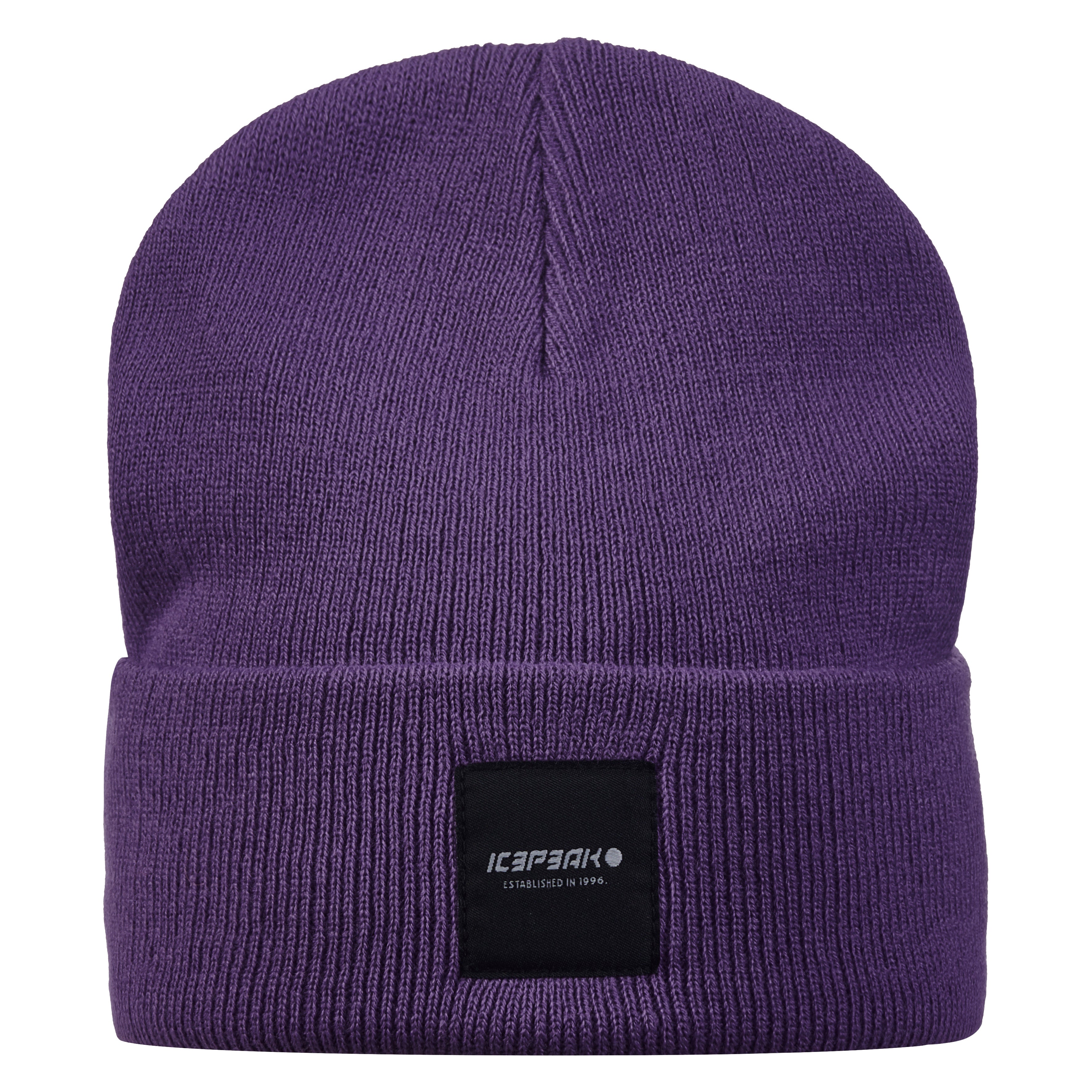 Icepeak Harcourt Beanie Herren