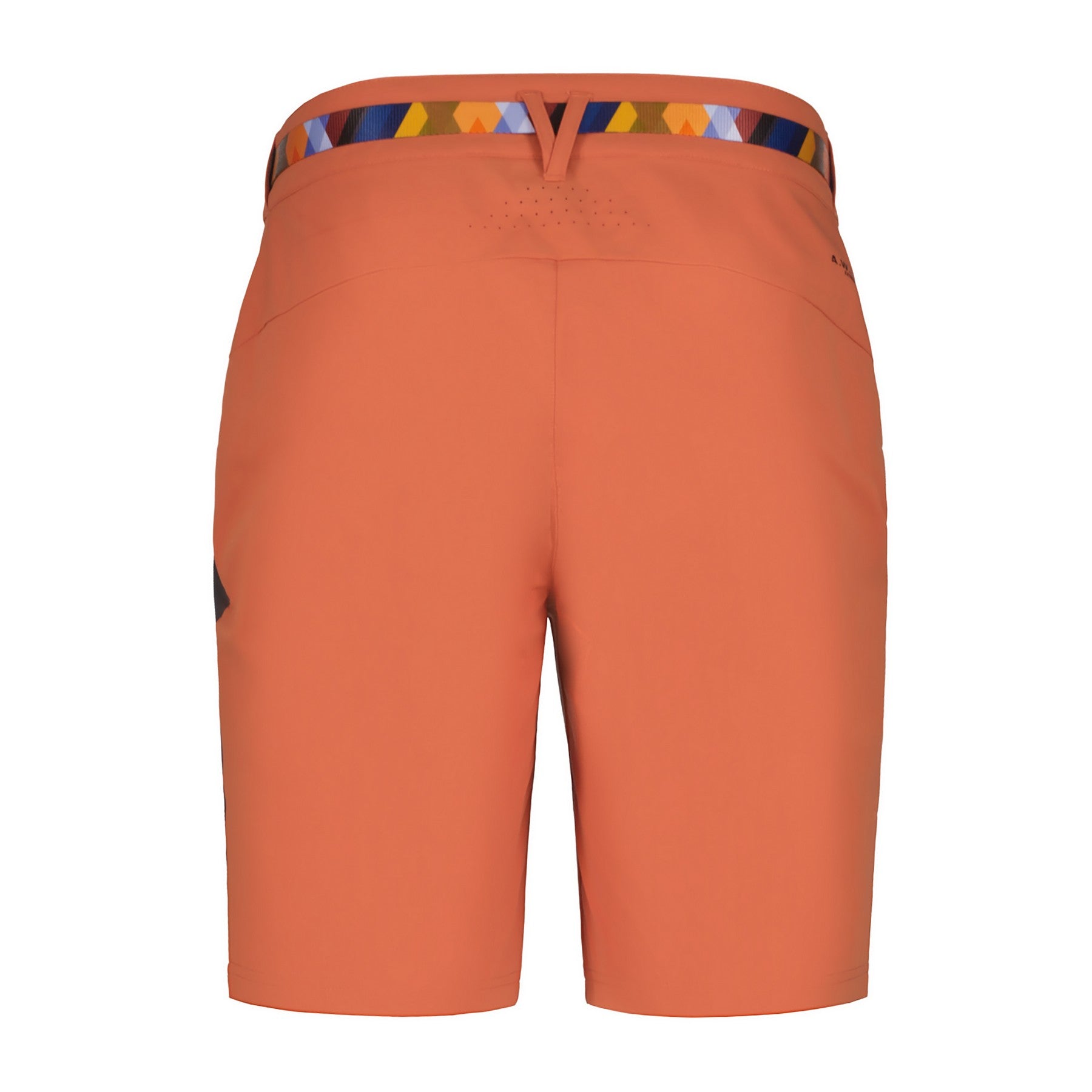 Icepeak Delphos Shorts Herren