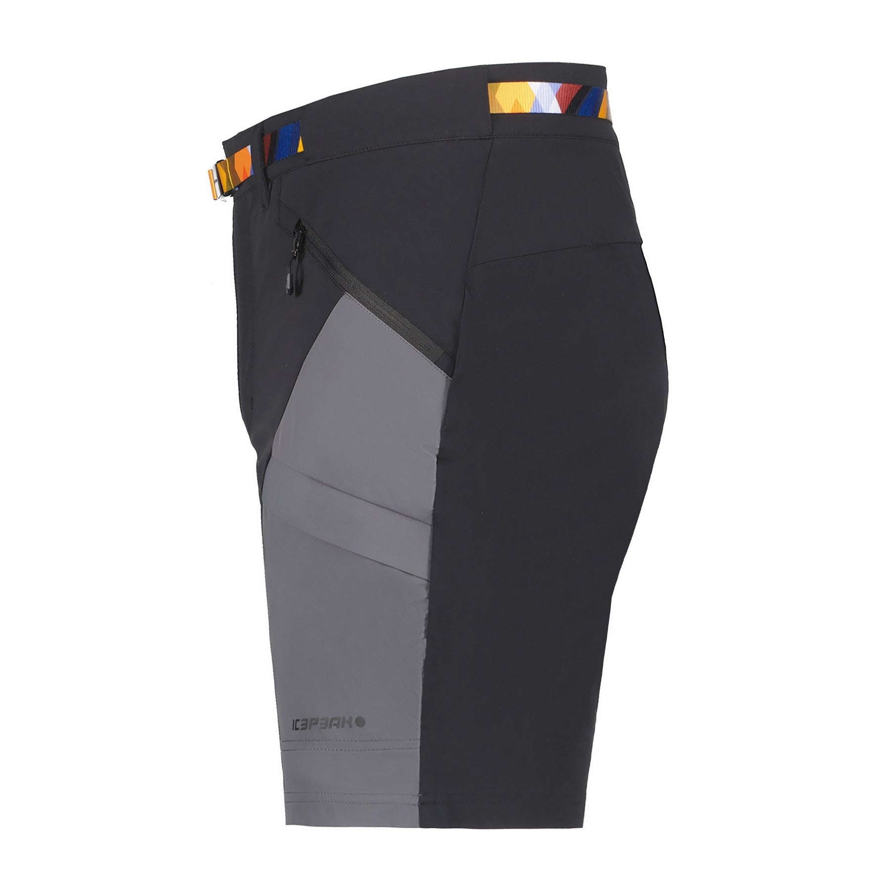Icepeak Delphos Shorts Herren