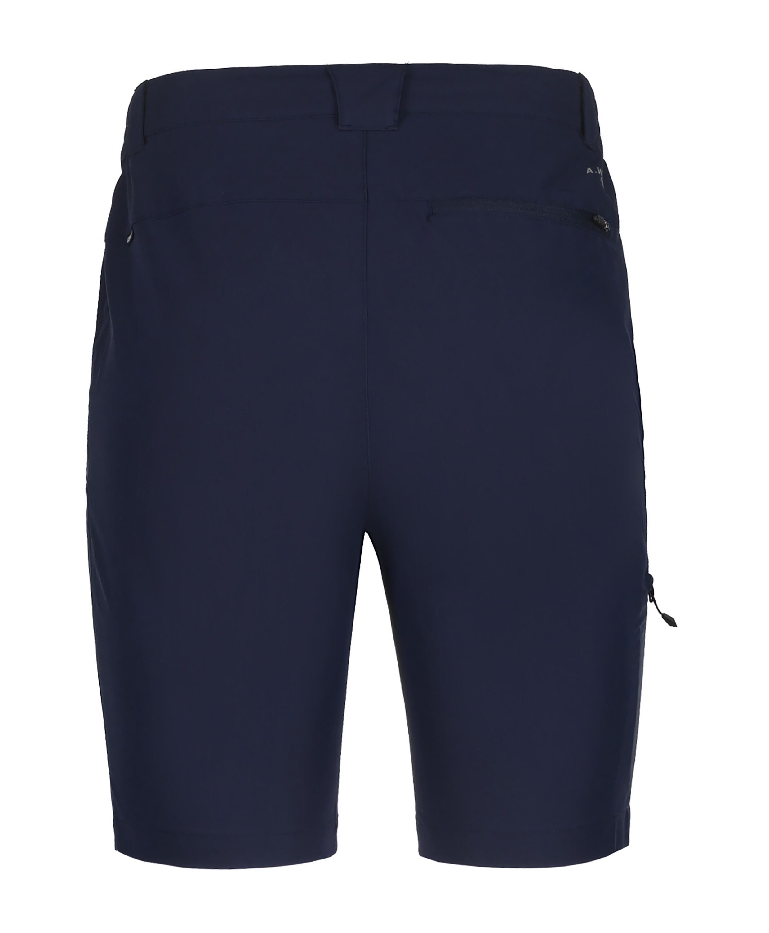 Icepeak Berwyn Shorts Herren – Dark blue