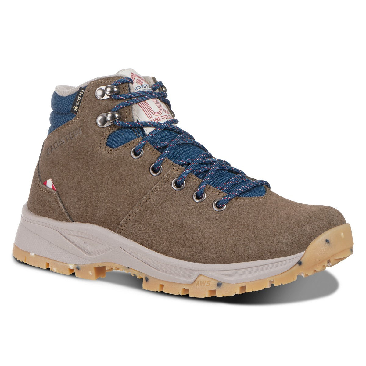 Dachstein Nordlicht Mc Gtx1925 Outdoor Shoes Herren