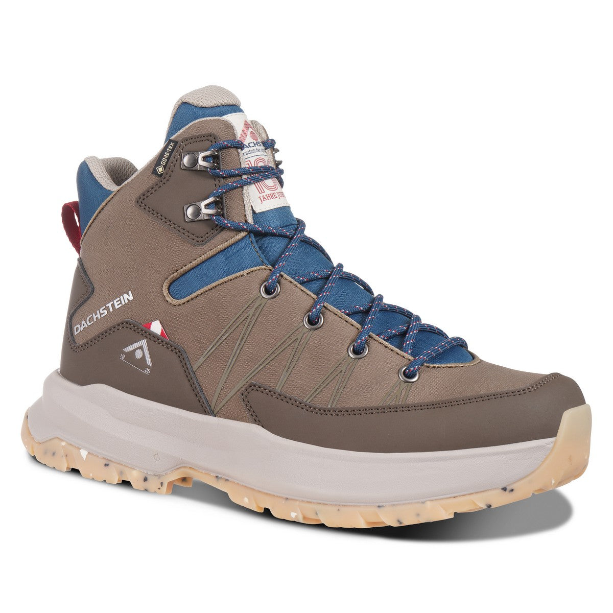 Dachstein Tundra Gtx 1925 Outdoor Shoes Herren