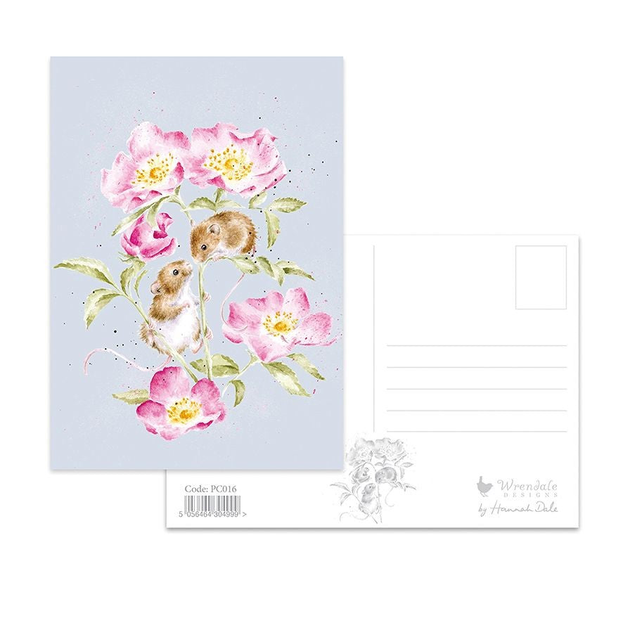 Wrendale Little Whispers Postkarte Unisex – Ohne farbe