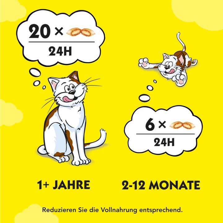 Dreamies Katzenfutter mit Käse 350g