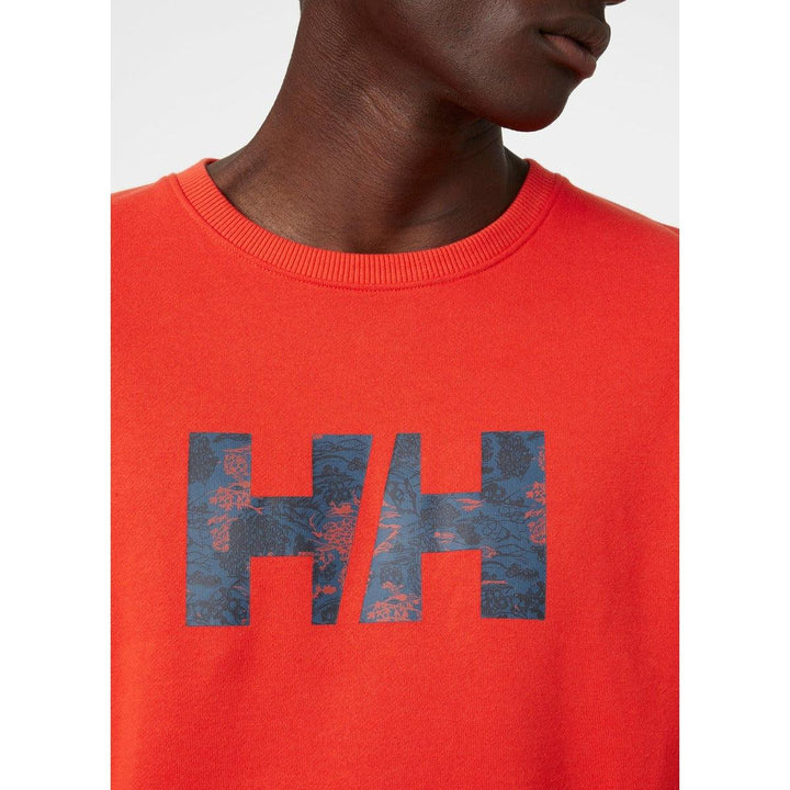 Helly Hansen Sweatshirts F2F Organic Cotton Herren im Outlet Sale