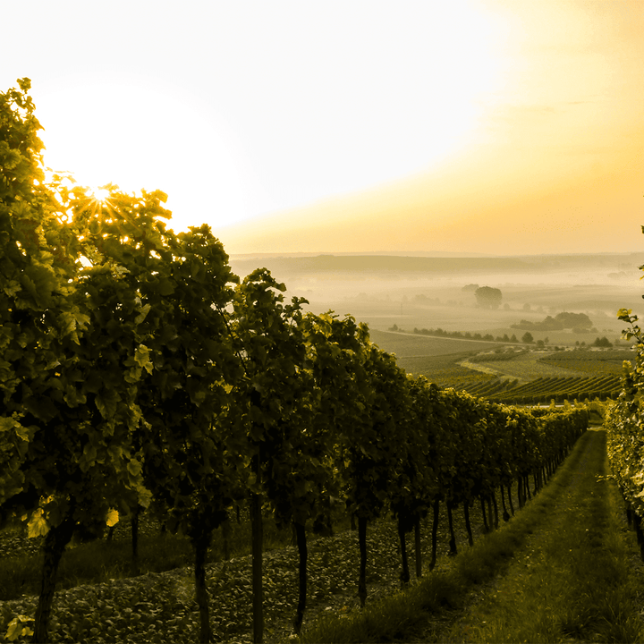 Urchig Rotwein Cuvée Rouge 2020 6x 0.75l im Outlet Sale